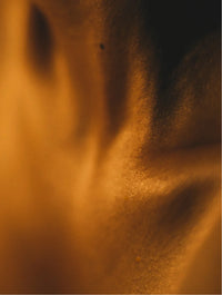 Silk Skin serum - Spices & Sandalwood